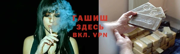 прущие грибы Осташков