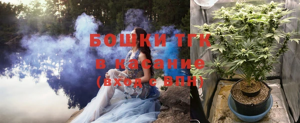 прущие грибы Осташков