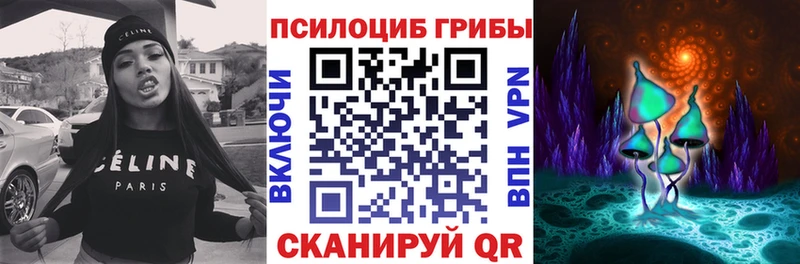 Псилоцибиновые грибы Cubensis  Купить где  Таштагол 